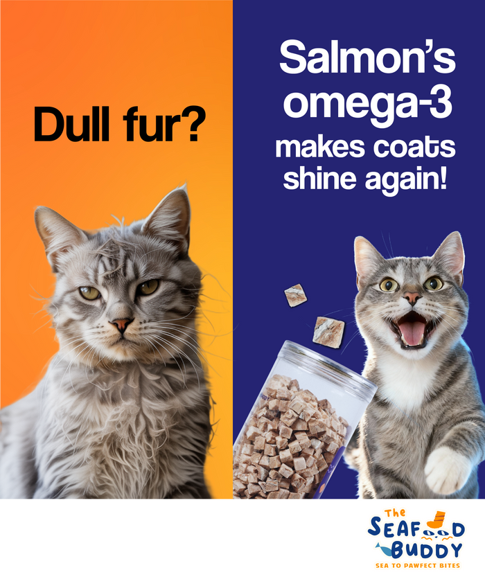 Salmon 0.8cm Bites 135G | Shinier Coat & Healthier Skin | Omega-3 Rich | Cat & Dog