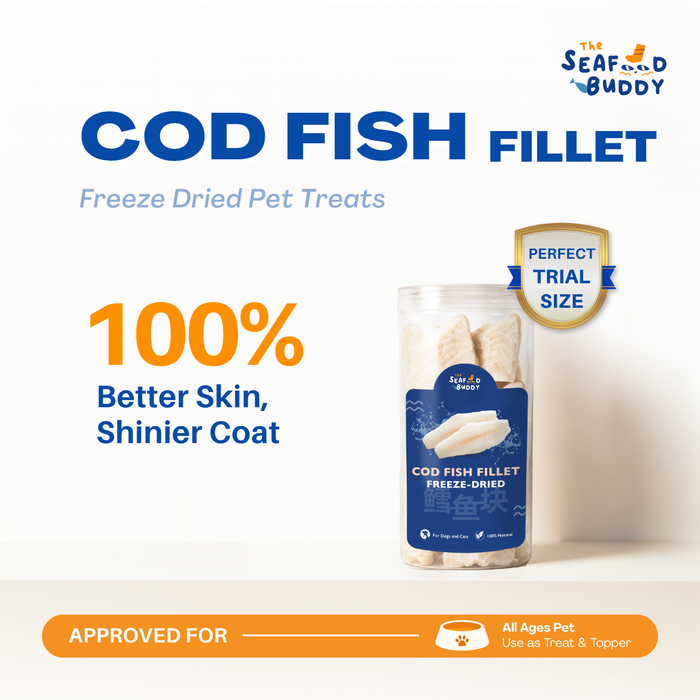 SeafoodBuddy Freeze-Dried Cod Fish Fillet | Dental Cleaner