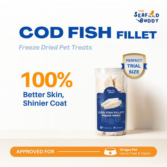 SeafoodBuddy Freeze-Dried Cod Fish Fillet | Dental Cleaner