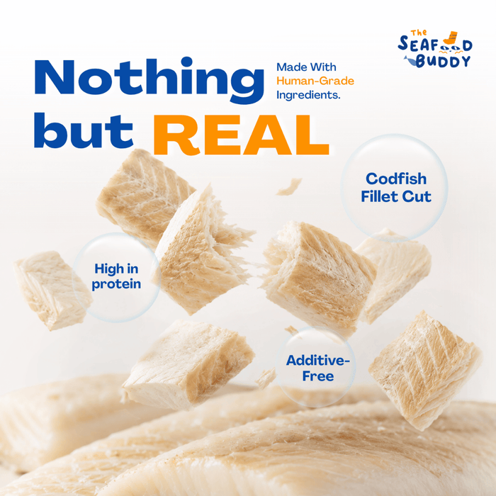 SeafoodBuddy Freeze-Dried Cod Fish Fillet | Dental Cleaner