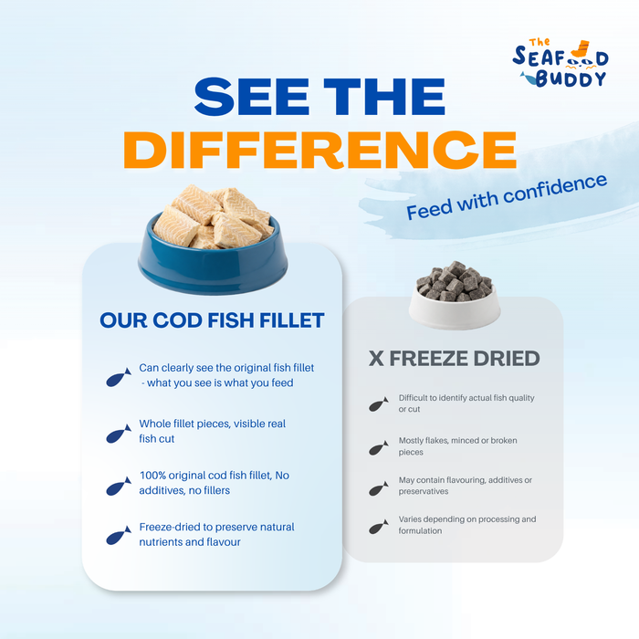 SeafoodBuddy Freeze-Dried Cod Fish Fillet | Dental Cleaner