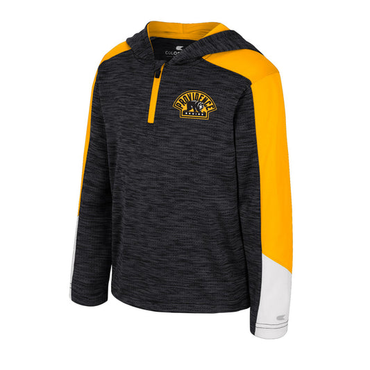 Toddler Up Ton 1/4 Zip Hoodie