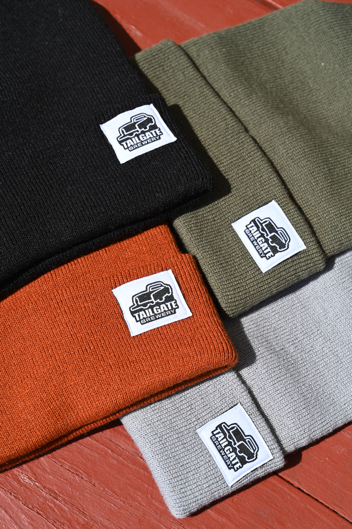 Truck Logo Beanie in Gray