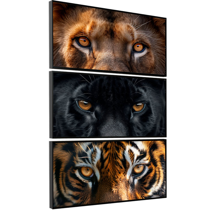 Wild Cat Eyes Safari Animals Canvas Print