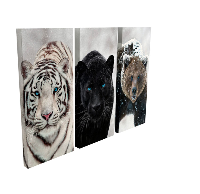 Wild Eyes Animals Wall art